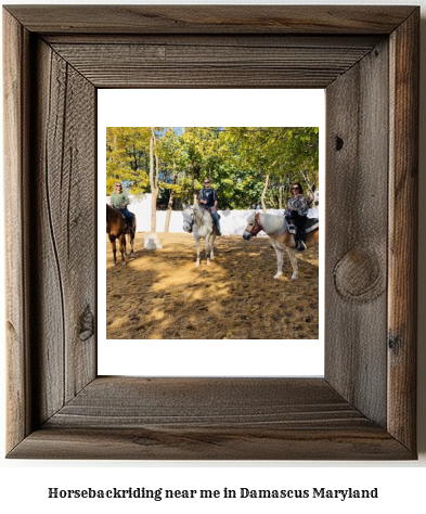 horseback riding near me in Damascus, Maryland